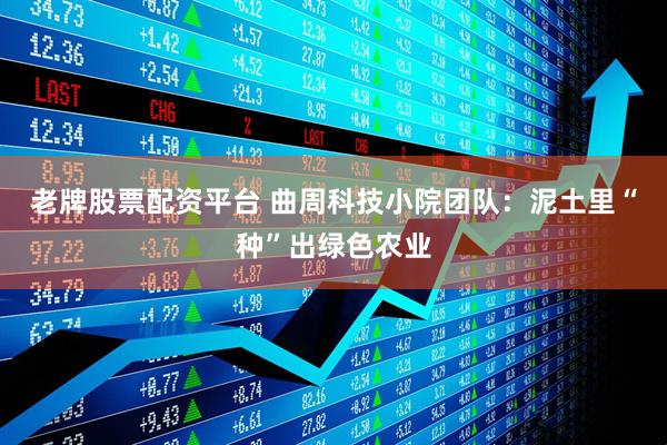 老牌股票配资平台 曲周科技小院团队：泥土里“种”出绿色农业
