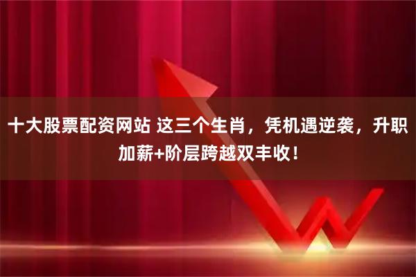 十大股票配资网站 这三个生肖，凭机遇逆袭，升职加薪+阶层跨越双丰收！